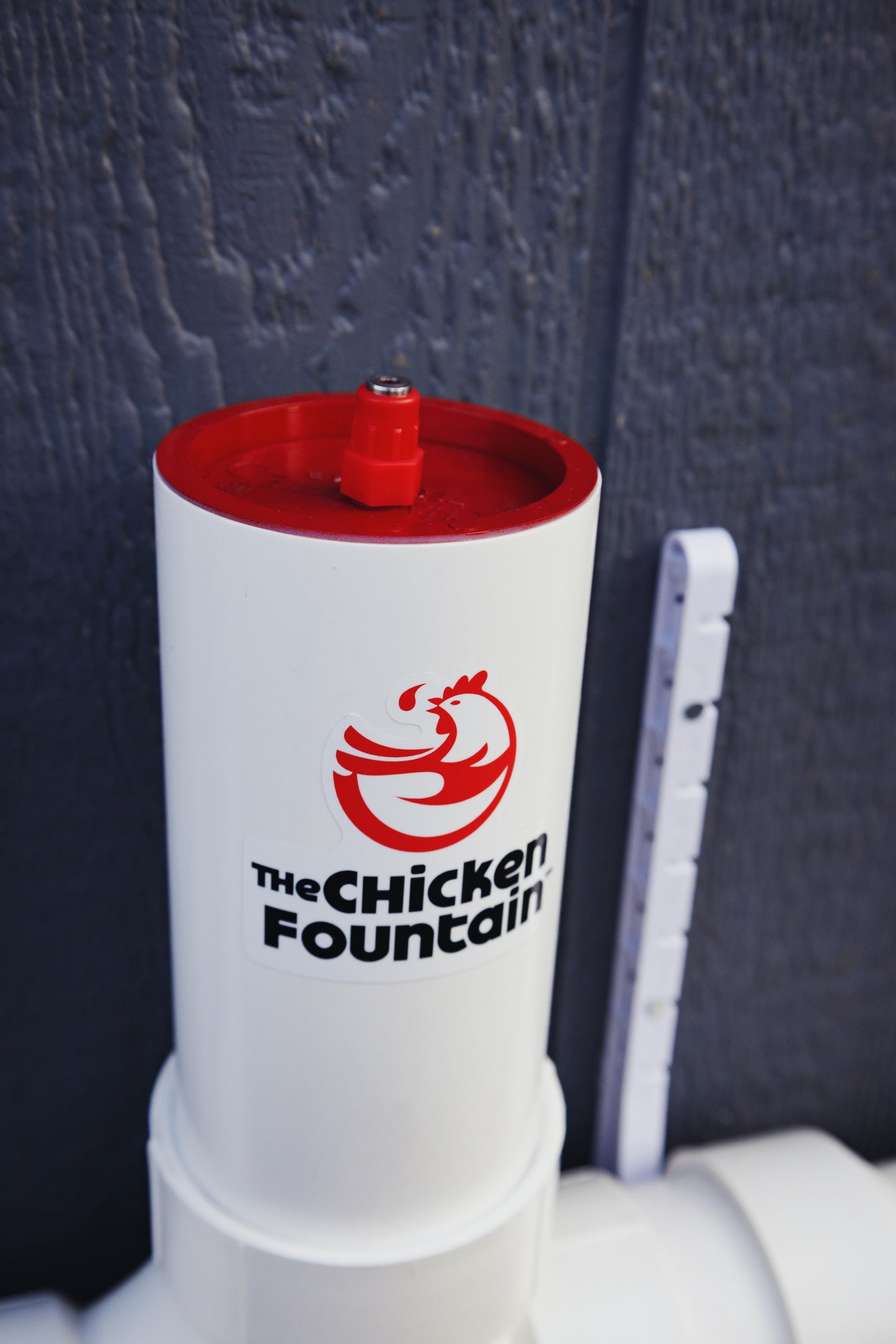 The Chicken Fountain™ Mini