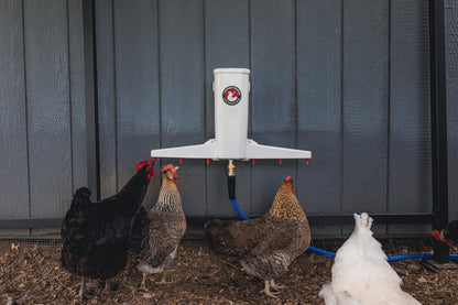 The Chicken Fountain™ Gen 2