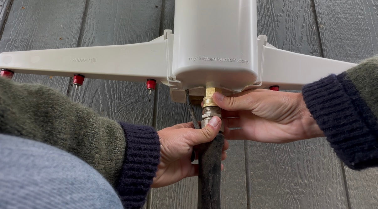 Close-up of hose being attached to the Chicken Fountain water inlet for continuous water flow.